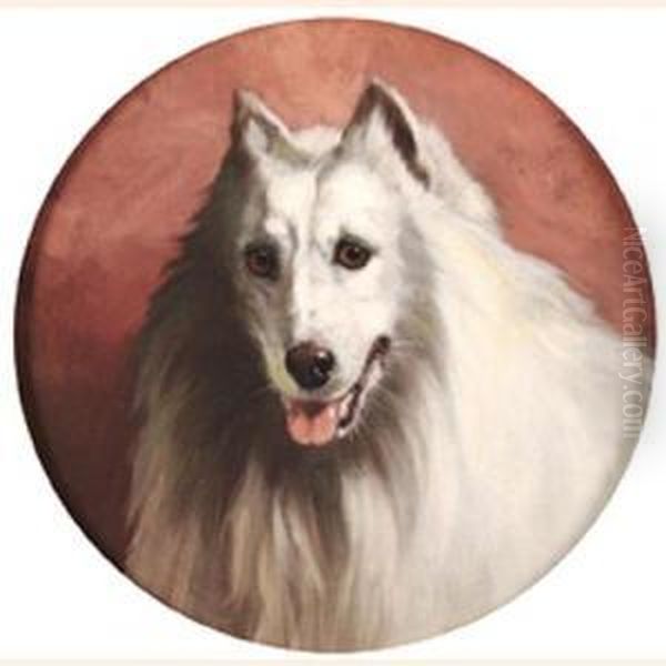 A White Dog, Possibly A Spitz Oil Painting by George Earl