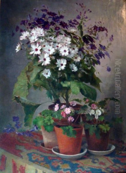 Les Pots D'aster Et Geraniums Oil Painting by Theodore Gerard