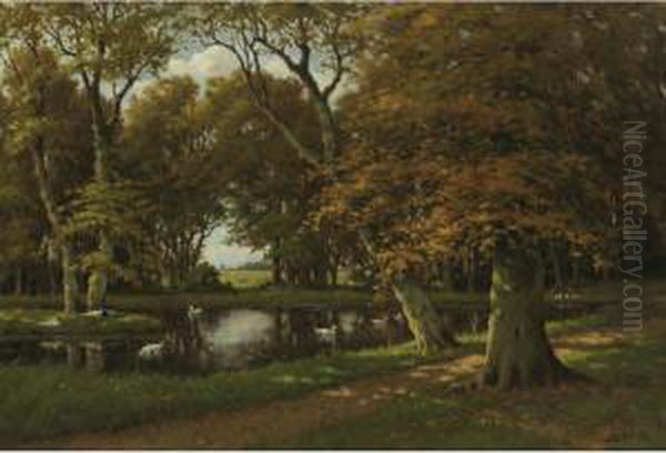 Ducks On A Pond In A Wooded Landscape Oil Painting by Adriaan Marinus Geijp