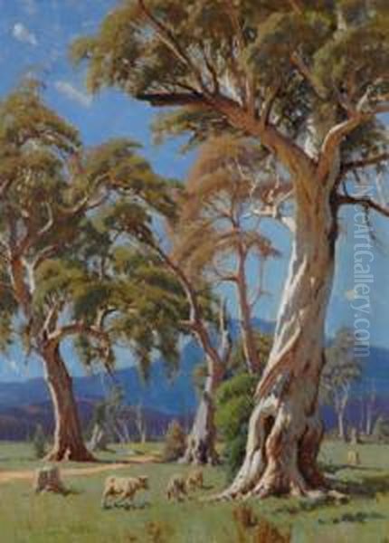 Sheep Grazing Beneath An Old Gum by Robert Edgar Taylor Ghee