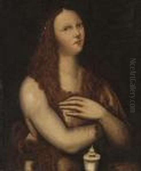 The Penitent Magdalen Oil Painting by Giampietrino