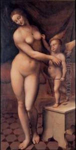 Venere E Cupido Oil Painting by Giampietrino