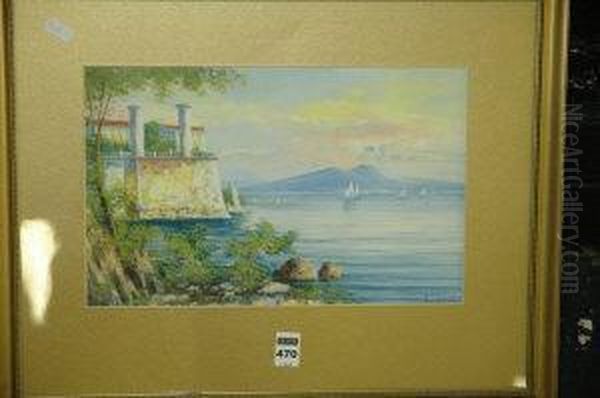 Bay Of Naples And Vesuvius Oil Painting by Gianni