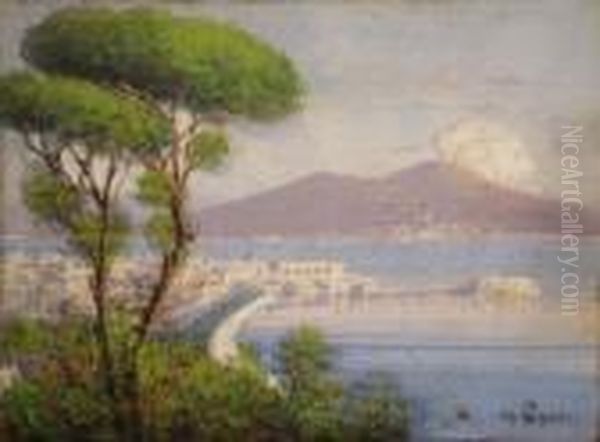 Topographical View Of The Bay Of Naples With Smoking Vesuvius To Distance Oil Painting by Gianni