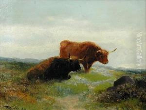 Studies Ofhighland Cattle Oil Painting by Thomas Henry Gibb