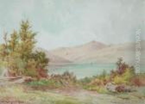 Near Head Of Lake Wakatipu Oil Painting by William Menzies Gibb