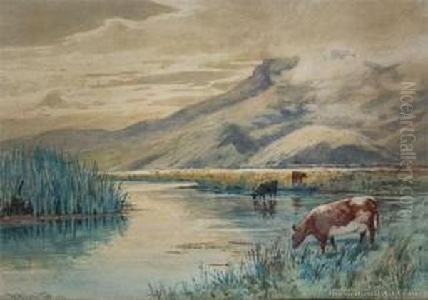 Cattle Grazing, Canterbury Oil Painting by William Menzies Gibb