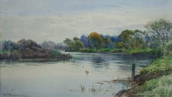 Styx River, South Island Oil Painting by William Menzies Gibb