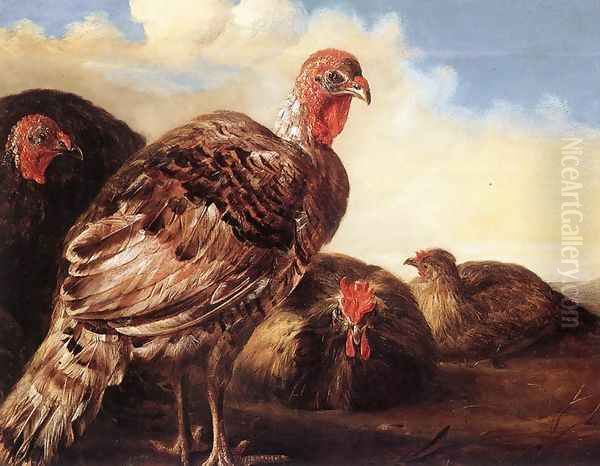 Domestic Fowl Oil Painting by Aelbert Cuyp