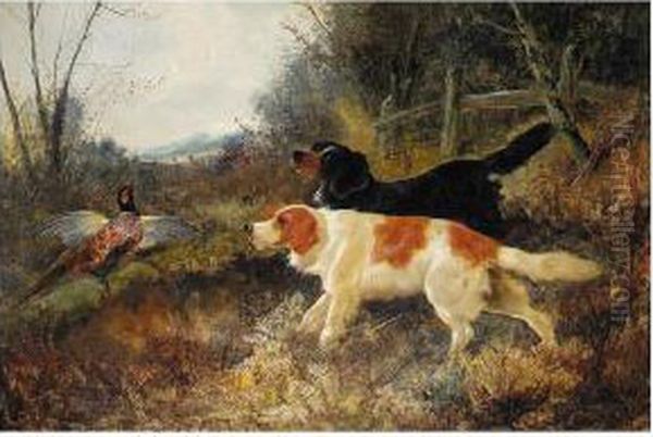 Spaniels Putting Up Pheasant Oil Painting by John Gifford