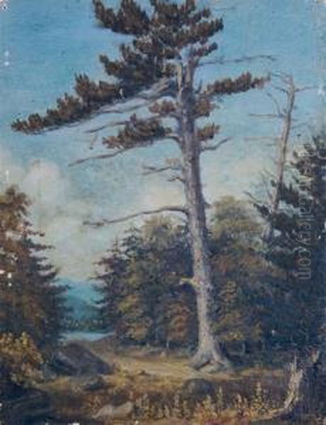 Large Tree Oil Painting by Sanford Robinson Gifford