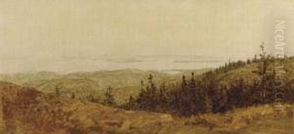 Looking Down From Sargent Mountain, Mt. Desert Oil Painting by Sanford Robinson Gifford