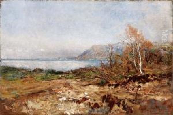 Paesaggio Lacustre(lago Maggiore) Oil Painting by Eugenio Gignous