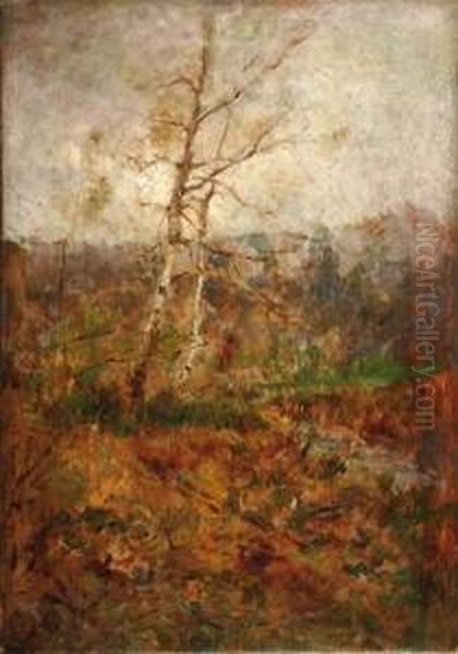 Bosco Di Betulle Oil Painting by Eugenio Gignous