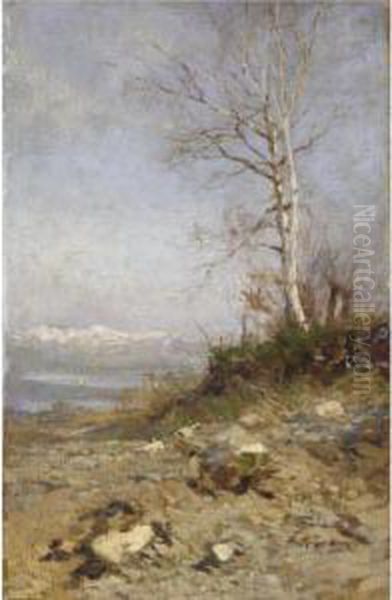 Betulla In Riva Al Lago Oil Painting by Eugenio Gignous