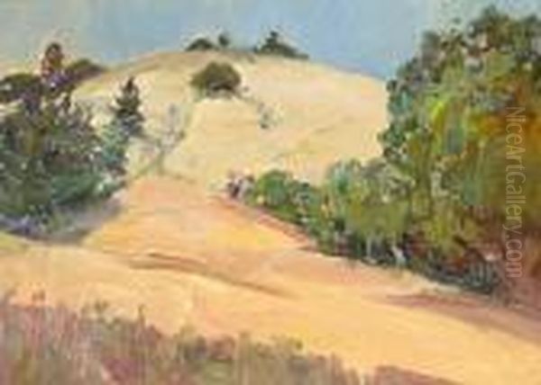 Hill In Marin Oil Painting by Selden Connor Gile