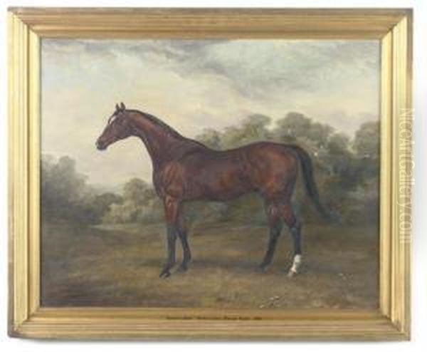 Rosewindow - A Hunter In A Paddock Oil Painting by G.D. Giles