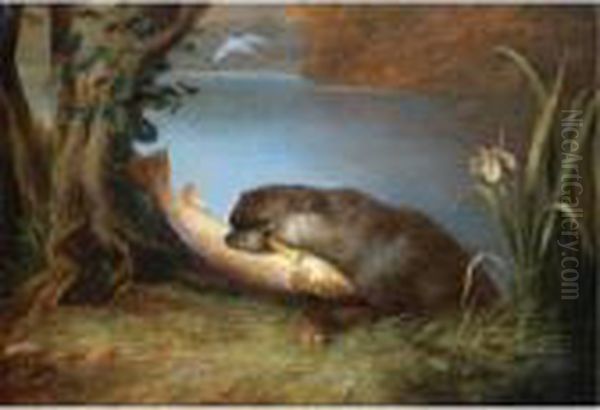 An Otter With A Salmon On The Bank Of A River Oil Painting by James William Giles