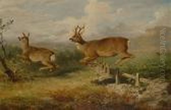 Deer Jumping A Fence Oil Painting by James William Giles