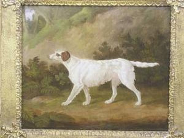 The Celebrated Setter Purchased 
At Major Henry Lyon's Sale By Phillips Son & Neale 2nd July 1888 Oil Painting by Edmund Gill