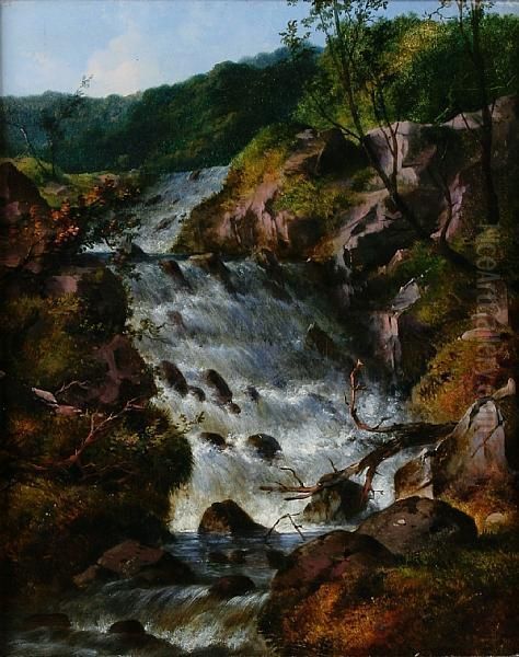 Waterfall, Near Dolgelly, North Wales Oil Painting by Edmund Gill