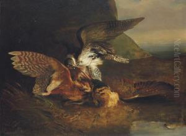 Hawk Killing A Bittern Oil Painting by Sawrey Gilpin