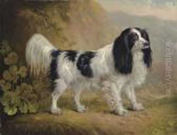 A Spaniel In A Landscape Oil Painting by Sawrey Gilpin