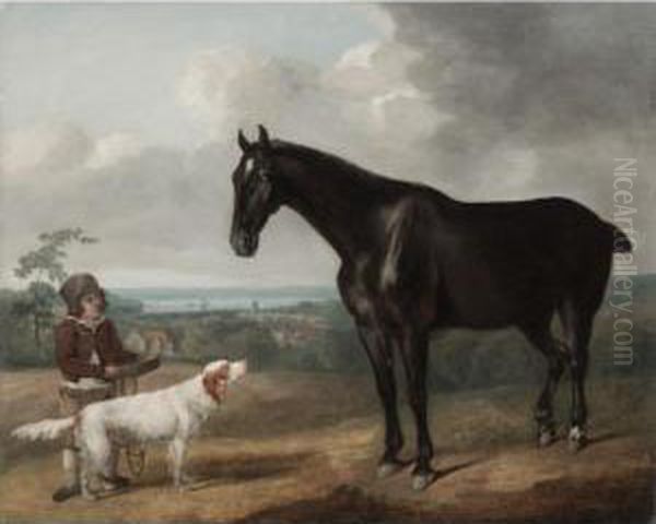 Portrait Of A Dark Bay Horse, With A Spaniel And A Young Boy Oil Painting by Sawrey Gilpin