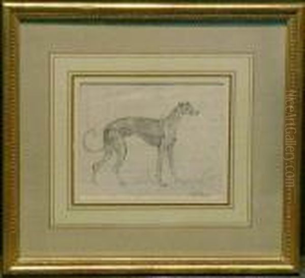 A Greyhound Oil Painting by Sawrey Gilpin