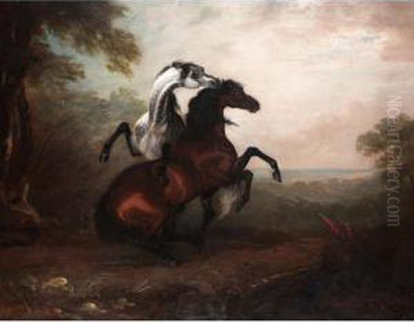 Two Stallions Fighting Oil Painting by Sawrey Gilpin