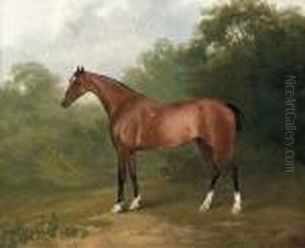 A Bay Horse In A Wooded Landscape Oil Painting by Sawrey Gilpin