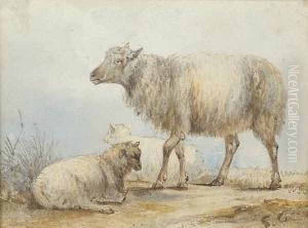 Ewe And Her Lambs Oil Painting by Sawrey Gilpin