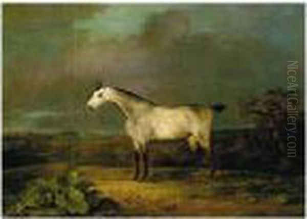 A Grey Hunter In An Extensive Landscape Oil Painting by Sawrey Gilpin