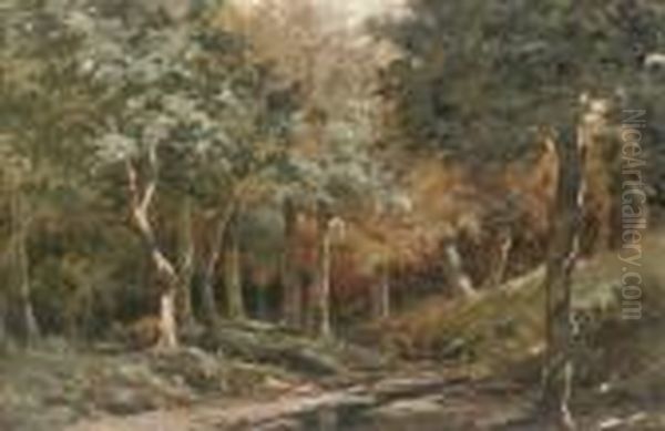 A Walk In The Woods Oil Painting by Vincenzo Giovannini