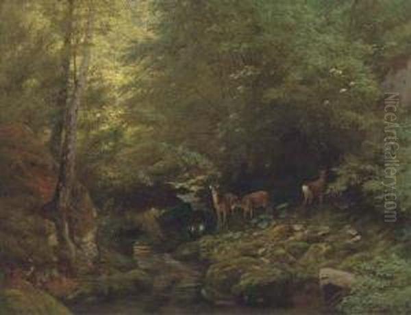 Deer In A River Landscape Oil Painting by Albert Girard