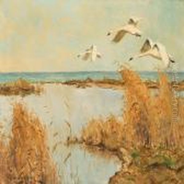 Swans Flying Overthe Coast Oil Painting by William Gislander