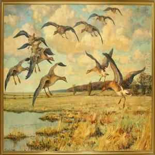 Grey Lag Geese Are Flying Over A Meadow Oil Painting by William Gislander