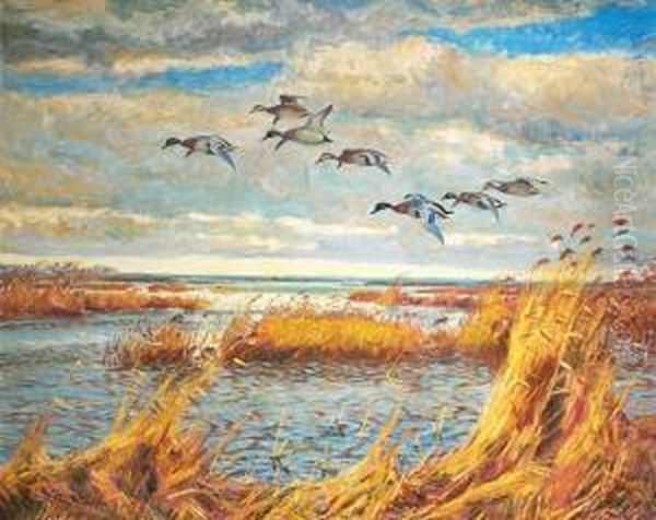 Scenery With Flying Ducks. Signed William Gislander Oil Painting by William Gislander