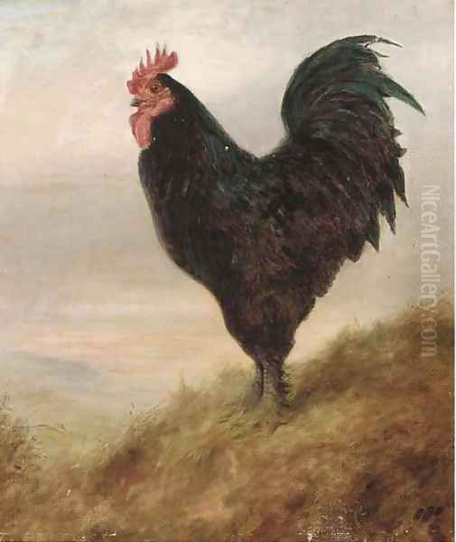 A Broad Langsham fowl Oil Painting by Lilian Cheviot