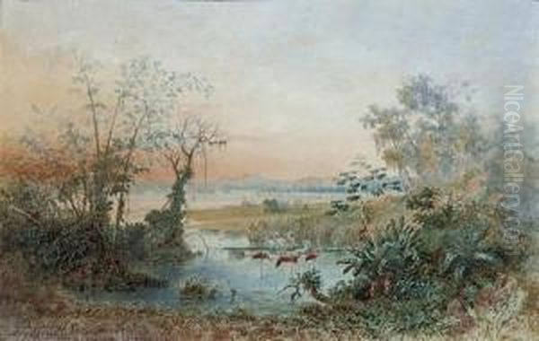 Lake Valencia, Venezuela Oil Painting by Anton Goering