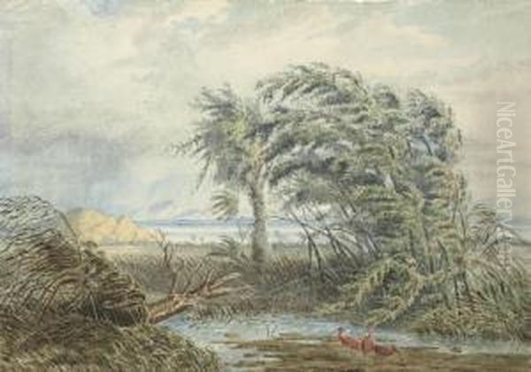 A Venezuelan River Landscape With Scarlet Ibis Sheltering From A Gale In A Backwater Oil Painting by Anton Goering