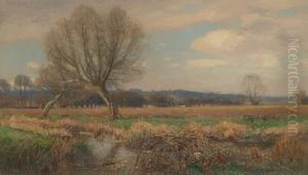 Water Meadows Oil Painting by Walter H. Goldsmith