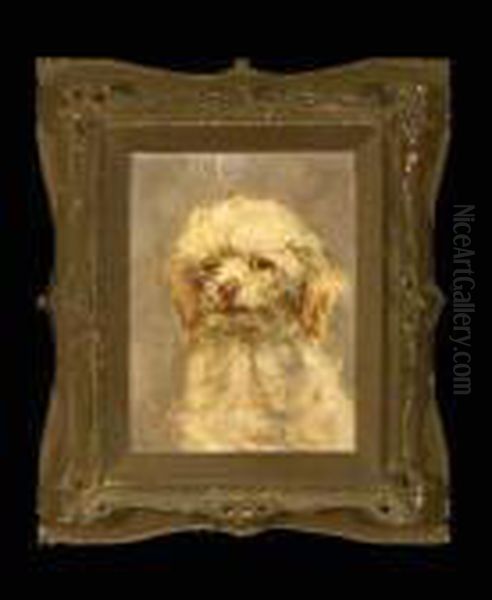 Portrait Of A Bichon Frise Oil Painting by Juan Antonio Gonzales