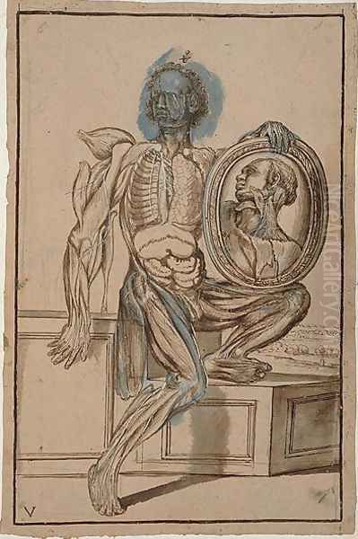 Hunter 653 Plate V Anatomical Drawing, c.1610 Oil Painting by Pietro Da Cortona (Barrettini)