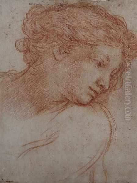 Study of a Head of a Girl Oil Painting by Pietro Da Cortona (Barrettini)