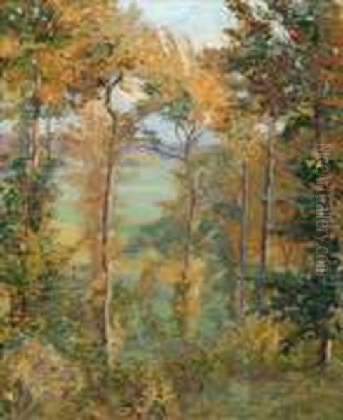 Wooded Landscape At Tibermont, Neuville Les Dieppes Oil Painting by Spencer Frederick Gore