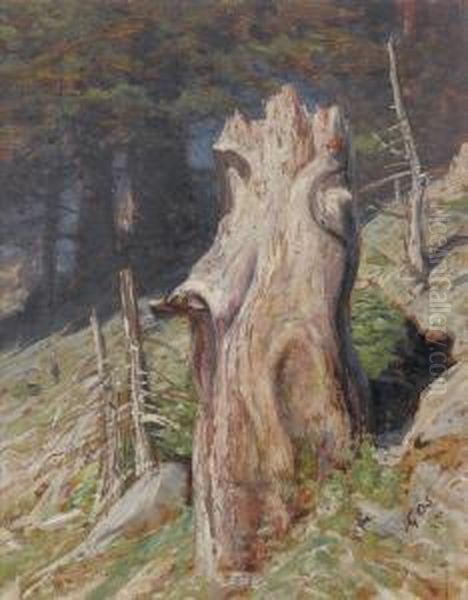 Waldlichtung Mit Baumstrunk Oil Painting by Albert H. Gos