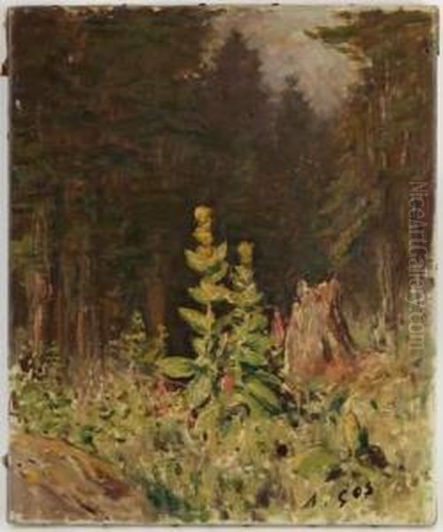 Foret Oil Painting by Albert H. Gos