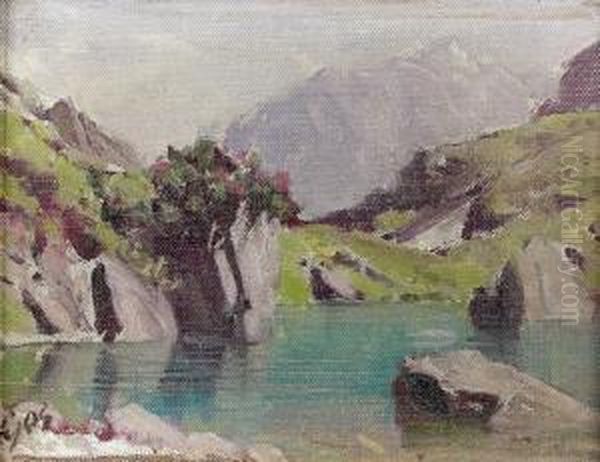 Sonnige Gebirgspartie Mit Kleinem See. Oil Painting by Albert H. Gos