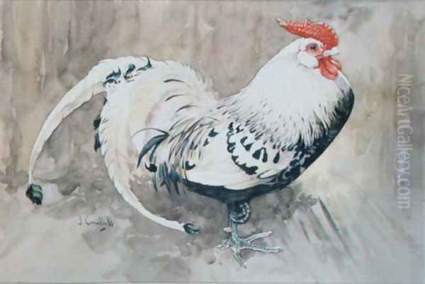 A Cockerel Oil Painting by Joseph Crawhall